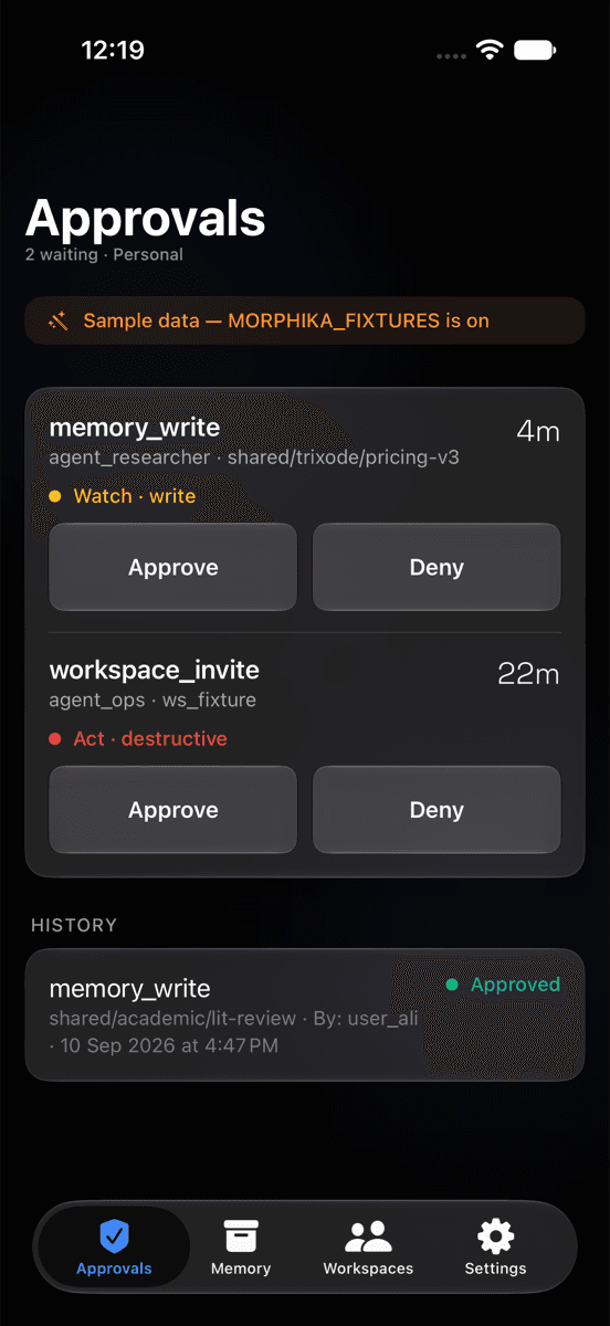 The Morphika iPhone app showing the Approvals list, with sample data labelled on screen.