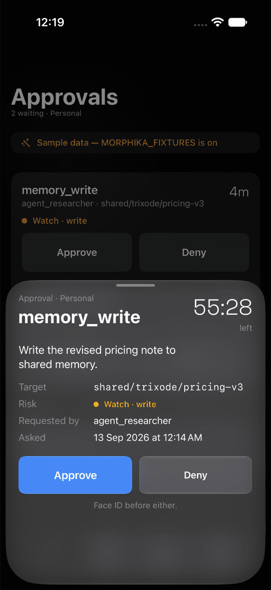 The Morphika iPhone app showing one approval in detail, with the requester, the target and a risk band.