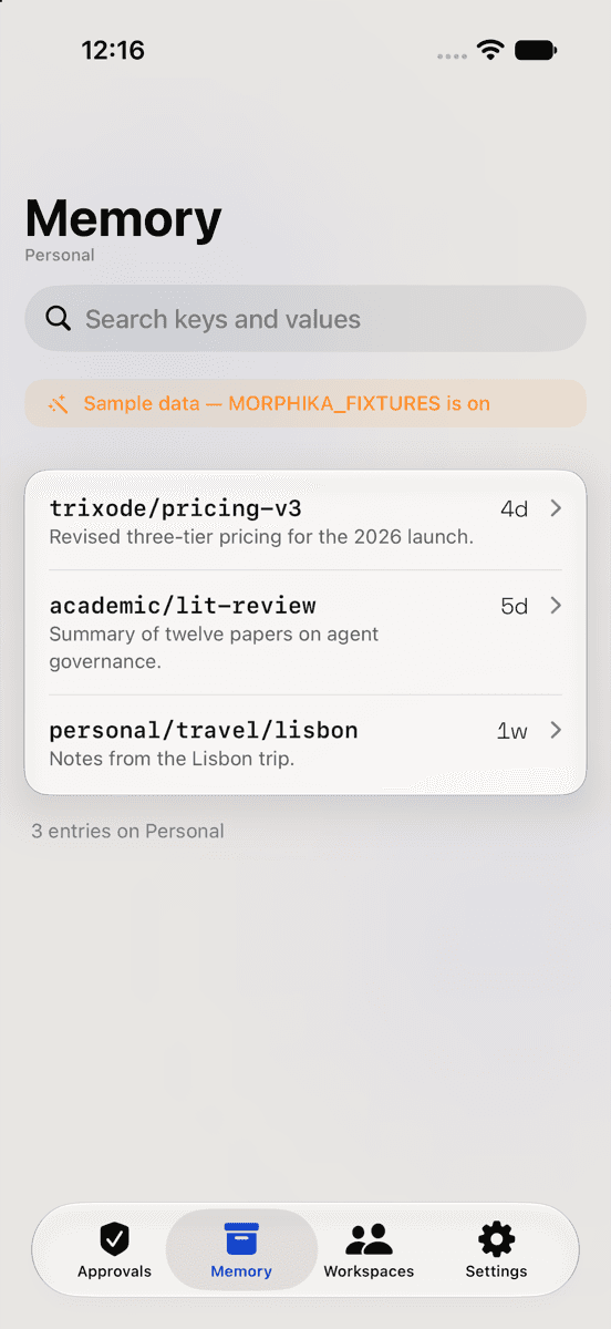 The Morphika iPhone app showing the Memory list in light appearance, with sample data labelled on screen.